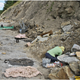 Image for article titled New Evidence Suggests Tyrannosaurs Hunted In Packs